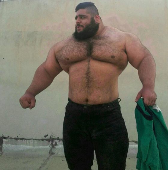 هالك ايران يريد خوض الحرب السورية بجسمه الضخم.. شاهد صوره صورة رقم 7