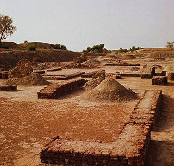  فيديو وصور.. حضارة السند في الهند سبقت الفراعنة صورة رقم 7