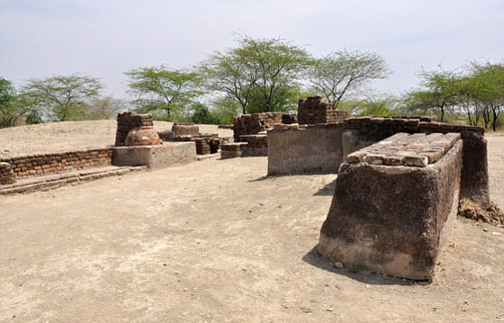  فيديو وصور.. حضارة السند في الهند سبقت الفراعنة صورة رقم 2