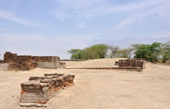  فيديو وصور.. حضارة السند في الهند سبقت الفراعنة صورة رقم 6