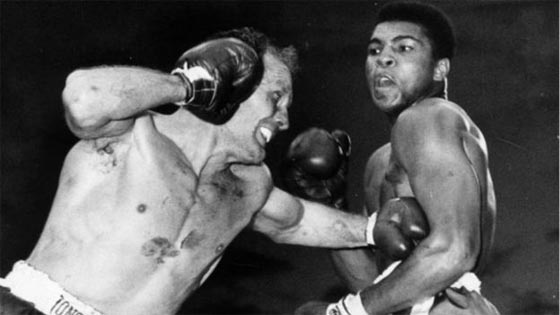 محمد علي طار كالفراش ولسع كالنحل واصاب الهدف ونطق بالحكمة صورة رقم 9