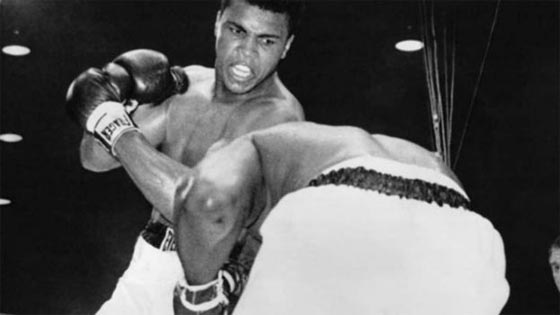 محمد علي طار كالفراش ولسع كالنحل واصاب الهدف ونطق بالحكمة صورة رقم 11