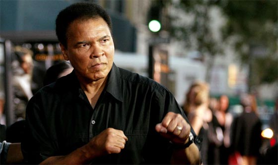 محمد علي طار كالفراش ولسع كالنحل واصاب الهدف ونطق بالحكمة صورة رقم 5