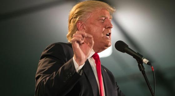 ترامب يواصل حصد الاصوات بالانتخابات التمهيدية بشكل يثير القلق صورة رقم 2