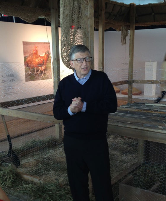  بيل غيتس يتبرع بـ100 الف دجاجة لفقراء افريقيا صورة رقم 3