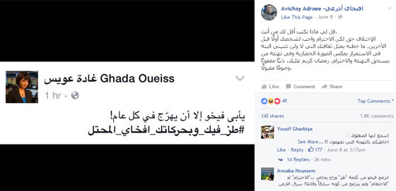  مذيعة الجزيرة للناطق باسم الجيش الاسرائيلي: طز فيك وبحركاتك صورة رقم 1