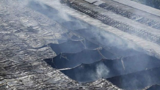  شجار على وجبات افطار يتسبب باحراق مخيم للاجئين في المانيا صورة رقم 10