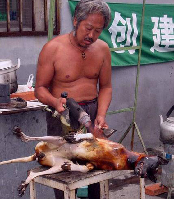 صينيون يطالبون بوقف مهرجان اكل لحوم الكلاب في بكين صورة رقم 12