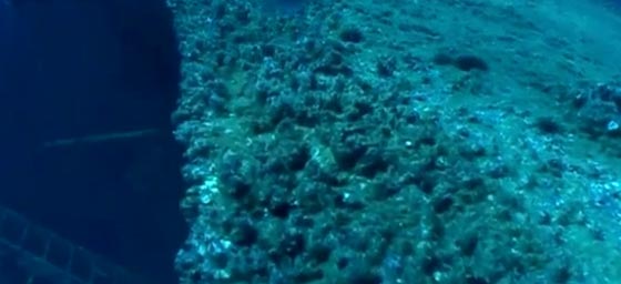  فيديو غريب.. لماذا يتم اغراق هذه السفن الضخمة بشكل متعمد؟ صورة رقم 1