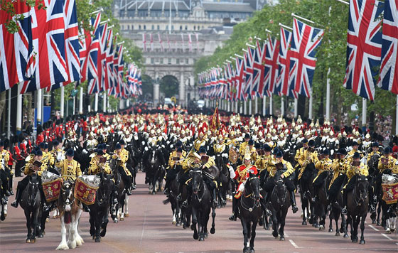 صور حارس ملكي بريطاني ينهار اثناء استعراض بسبب قبعته صورة رقم 10