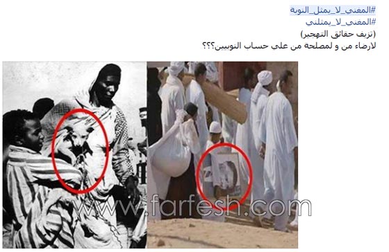 غضب النوبيين من الكينغ محمد منير بسبب مسلسل المغني! صورة رقم 6