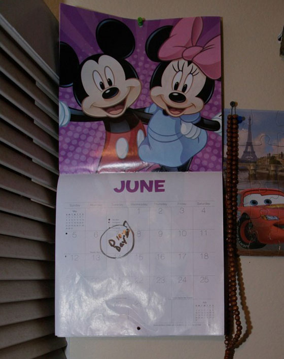 فيديو لمنزل منفذ مجزرة اورلاندو.. كيف عاش حياته وما هي اهتمامته؟ صورة رقم 11 فيديو لمنزل منفذ مجزرة اورلاندو.. كيف عاش حياته وما هي اهتمامته؟ صورة رقم 11