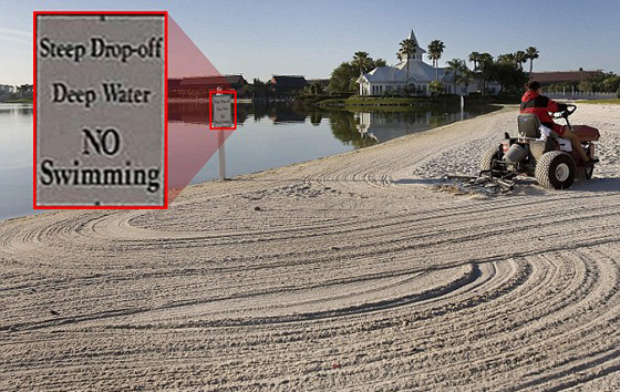 طفل يذهب ضحية لتمساح عملاق بعد اختطافه له من مملكة السحر صورة رقم 2