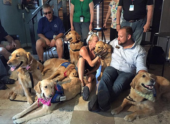 مواساة غير تقليدية لأسر ضحايا اورلاندو..بطابع الكلاب صورة رقم 2