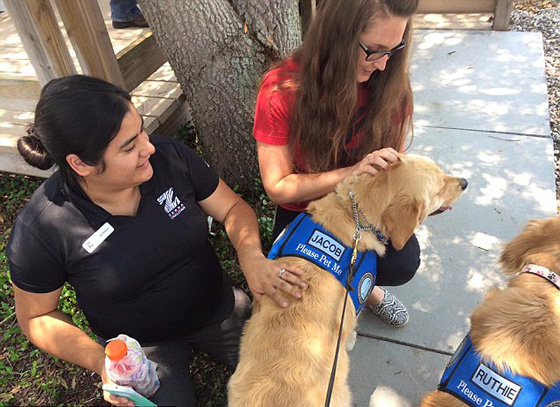 مواساة غير تقليدية لأسر ضحايا اورلاندو..بطابع الكلاب صورة رقم 3
