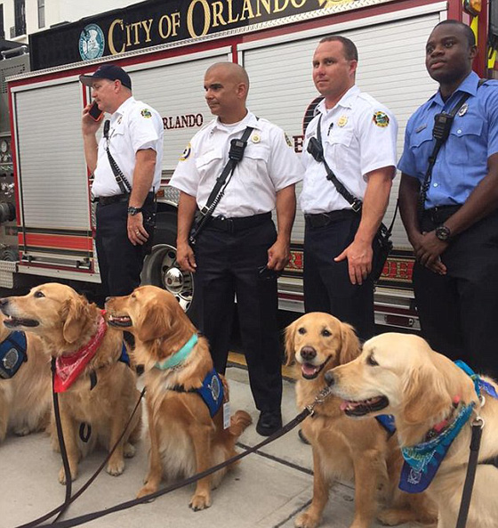 مواساة غير تقليدية لأسر ضحايا اورلاندو..بطابع الكلاب صورة رقم 5