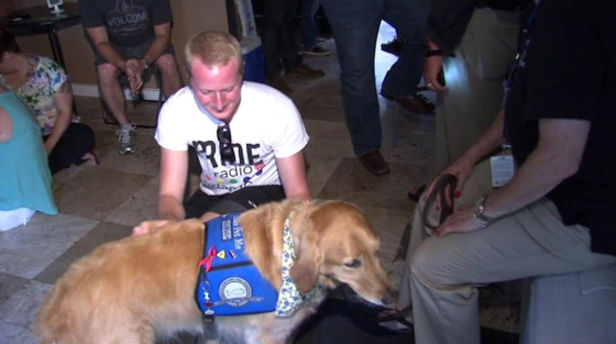 مواساة غير تقليدية لأسر ضحايا اورلاندو..بطابع الكلاب صورة رقم 7