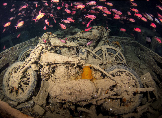  صور مذهلة: بقايا سفينة بريطانية غرقت  منذ 75 عاما في البحر الاحمر صورة رقم 9