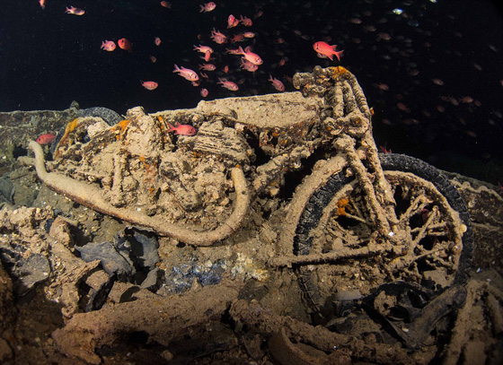  صور مذهلة: بقايا سفينة بريطانية غرقت  منذ 75 عاما في البحر الاحمر صورة رقم 2