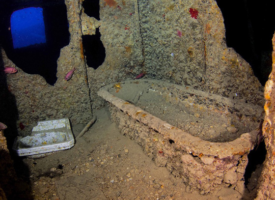  صور مذهلة: بقايا سفينة بريطانية غرقت  منذ 75 عاما في البحر الاحمر صورة رقم 1