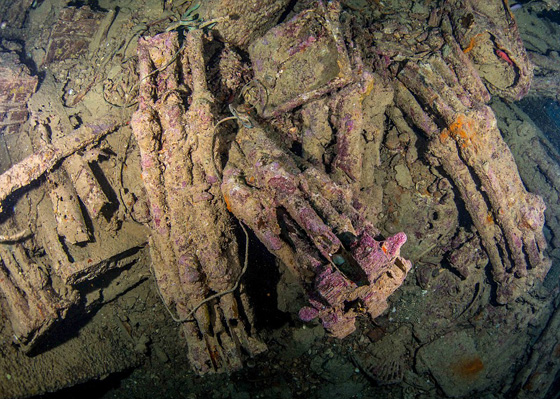  صور مذهلة: بقايا سفينة بريطانية غرقت  منذ 75 عاما في البحر الاحمر صورة رقم 8