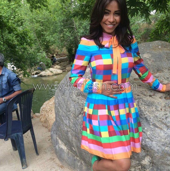 نجوى كرم تقول لشيرين (بيلبقلك) وسالم الهندي يطالبها بالاعتذار! صورة رقم 14