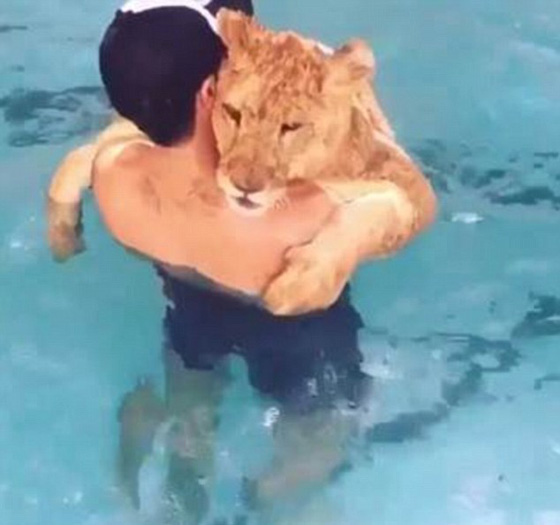 اثرياء العالم يتباهون بثرواتهم وينشرون صورهم مع الاسود والنمور! صورة رقم 8