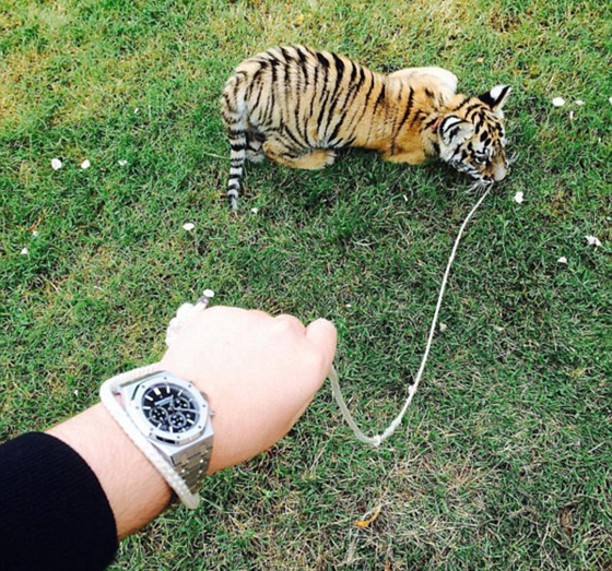 اثرياء العالم يتباهون بثرواتهم وينشرون صورهم مع الاسود والنمور! صورة رقم 16