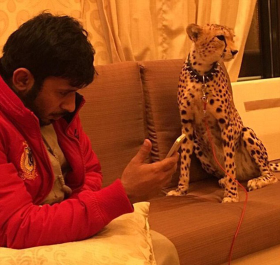 اثرياء العالم يتباهون بثرواتهم وينشرون صورهم مع الاسود والنمور! صورة رقم 1