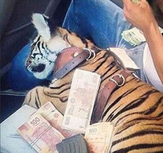 اثرياء العالم يتباهون بثرواتهم وينشرون صورهم مع الاسود والنمور! صورة رقم 24