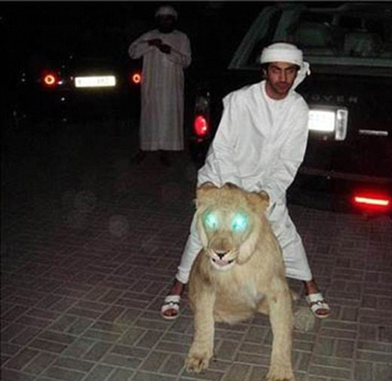 اثرياء العالم يتباهون بثرواتهم وينشرون صورهم مع الاسود والنمور! صورة رقم 25