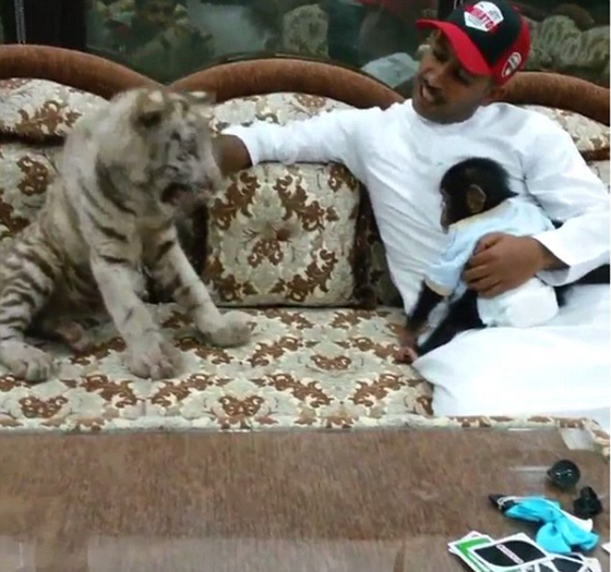 اثرياء العالم يتباهون بثرواتهم وينشرون صورهم مع الاسود والنمور! صورة رقم 6