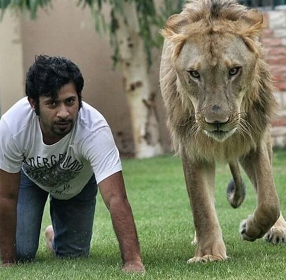 اثرياء العالم يتباهون بثرواتهم وينشرون صورهم مع الاسود والنمور! صورة رقم 4