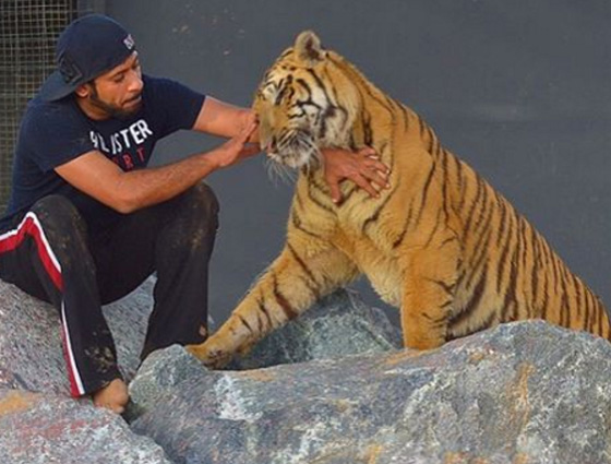 اثرياء العالم يتباهون بثرواتهم وينشرون صورهم مع الاسود والنمور! صورة رقم 5