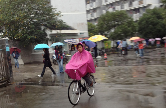 ليلة ماطرة في الصين تحول ليل المنقذين نهارا.. فيديو مدهش صورة رقم 10