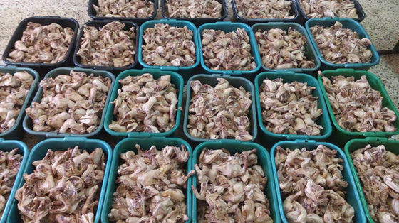 التكية الابراهيمية.. تقدم لفقراء الخليل اكثر من 6 آلاف افطارا يوميا صورة رقم 15