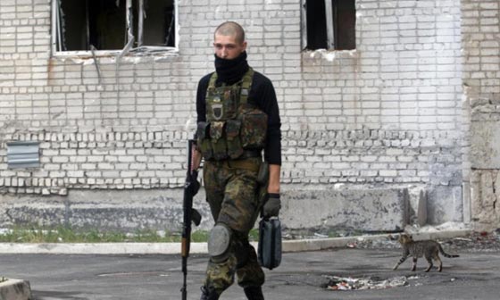 هكذا تستخدم عصابات المافيا القطط في تنفيذ جرائمها صورة رقم 8