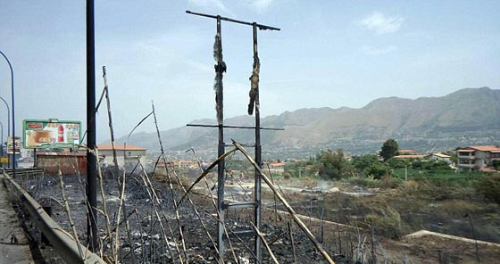 هكذا تستخدم عصابات المافيا القطط في تنفيذ جرائمها صورة رقم 10