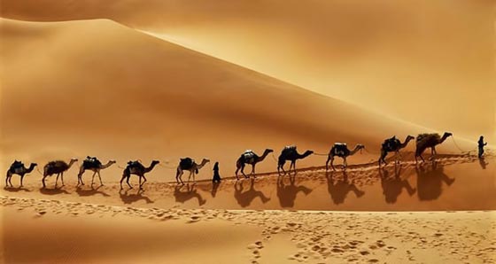 مارية القبطية زوجة النبي: لماذا ظلمتها كتب السيرة؟ صورة رقم 2