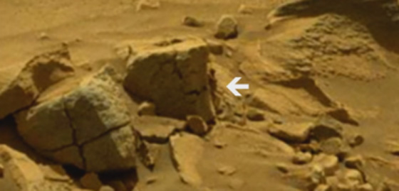 ضبطته الكاميرا.. مخلوق فضائي على سطح الكوكب الاحمر صورة رقم 1