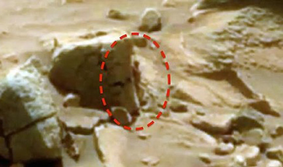 ضبطته الكاميرا.. مخلوق فضائي على سطح الكوكب الاحمر صورة رقم 2