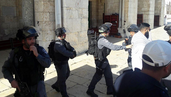 اقتحام مستوطنين للاقصى يسفر عن اصابات واعتقالات صورة رقم 7