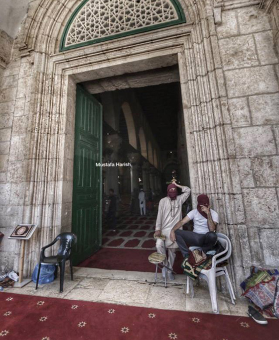 اقتحام مستوطنين للاقصى يسفر عن اصابات واعتقالات صورة رقم 11