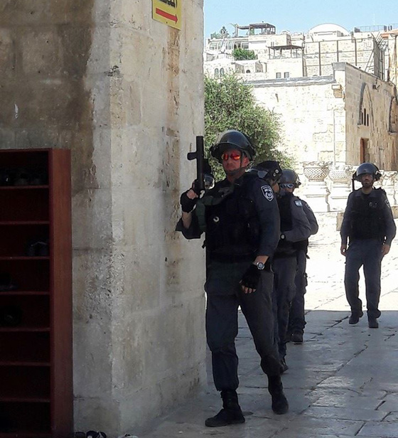 اقتحام مستوطنين للاقصى يسفر عن اصابات واعتقالات صورة رقم 12