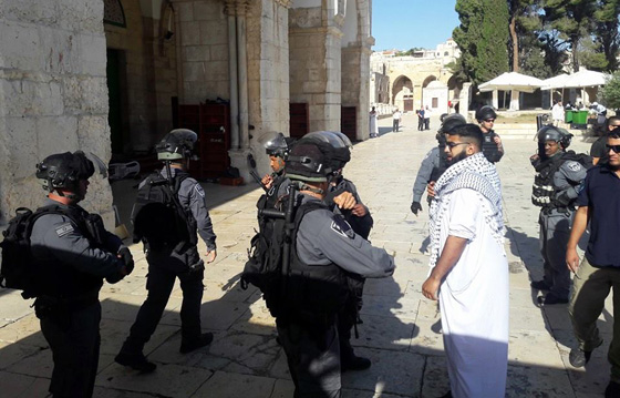 اقتحام مستوطنين للاقصى يسفر عن اصابات واعتقالات صورة رقم 13