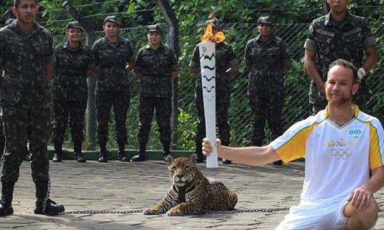 حفل اولمبياد ريو 2016 يشهد حدثا غريبا.. مقتل نمر متمرد صورة رقم 2 حفل اولمبياد ريو 2016 يشهد حدثا غريبا.. مقتل نمر متمرد صورة رقم 2