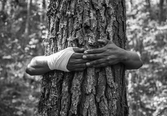 شعب يتحدى الموت برقصة هوائية.. شاهدوها صورة رقم 4 شعب يتحدى الموت برقصة هوائية.. شاهدوها صورة رقم 4