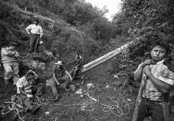 شعب يتحدى الموت برقصة هوائية.. شاهدوها صورة رقم 3 شعب يتحدى الموت برقصة هوائية.. شاهدوها صورة رقم 3