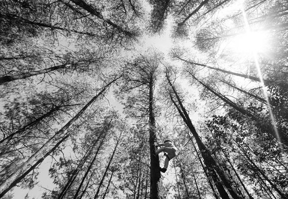 شعب يتحدى الموت برقصة هوائية.. شاهدوها صورة رقم 6 شعب يتحدى الموت برقصة هوائية.. شاهدوها صورة رقم 6