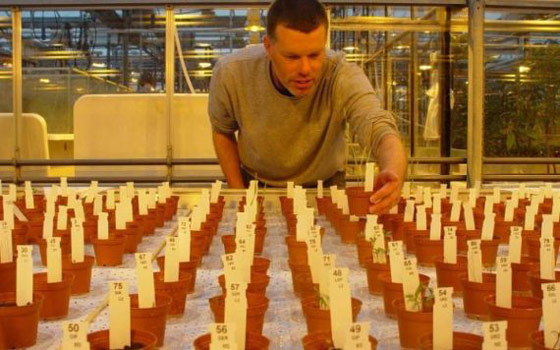 وكالات الفضاء تتنافس على زراعة البندورة والجرجير على القمر والمريخ صورة رقم 1